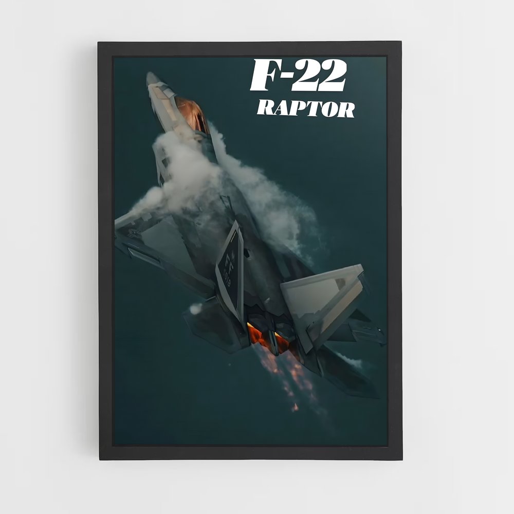 ap-f-22 raptor-3 cadre Noir