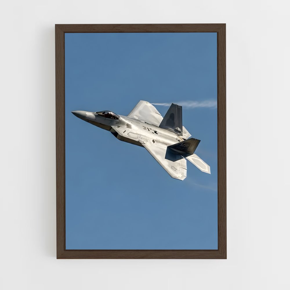 ap-f-22 raptor-7 cadre Bois foncé
