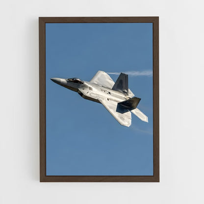 ap-f-22 raptor-7 cadre Bois foncé