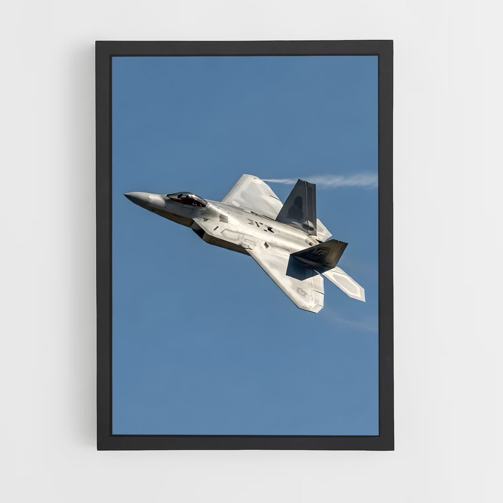 ap-f-22 raptor-7 cadre Noir