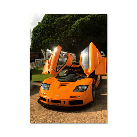 Poster McLaren en Fête