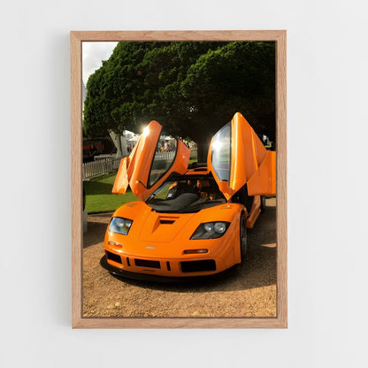 ap-f1 lm-1 cadre Bois clair