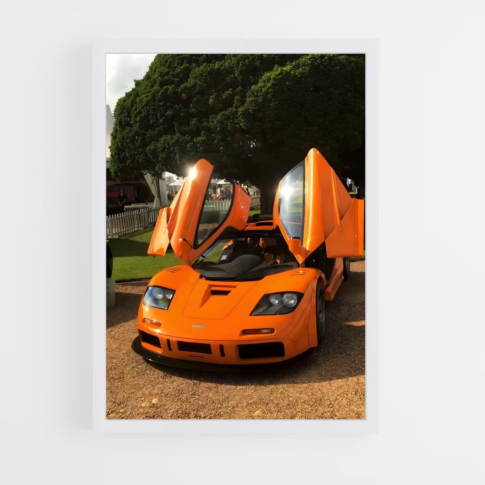 ap-f1 lm-3 cadre Blanc