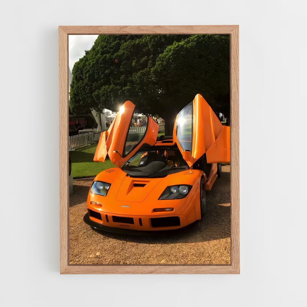 ap-f1 lm-3 cadre Bois clair