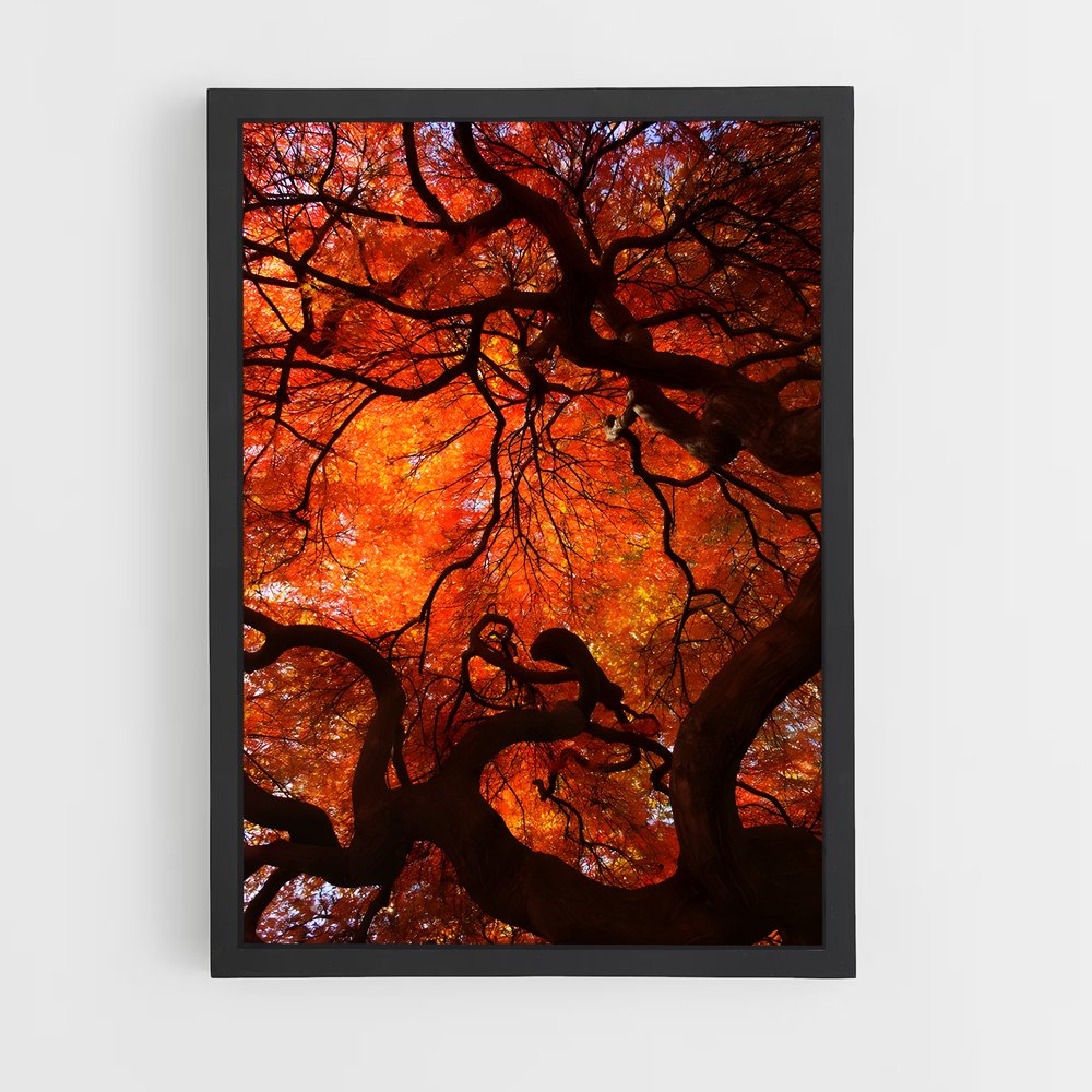 ap-fall colors-2 cadre Noir