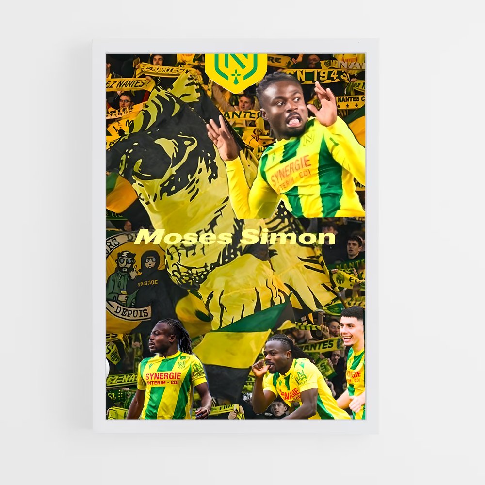 ap-fc nantes-8 cadre Blanc