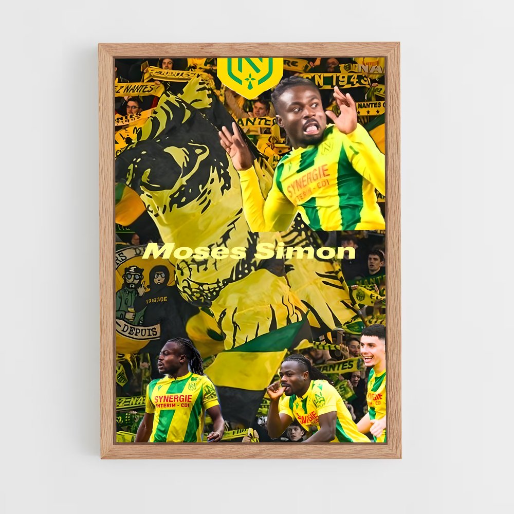 ap-fc nantes-8 cadre Bois clair