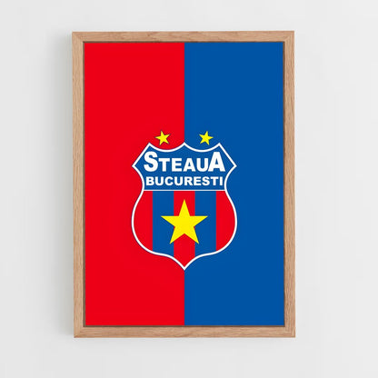 ap-fcsb steaua bucharest-3 cadre Bois clair