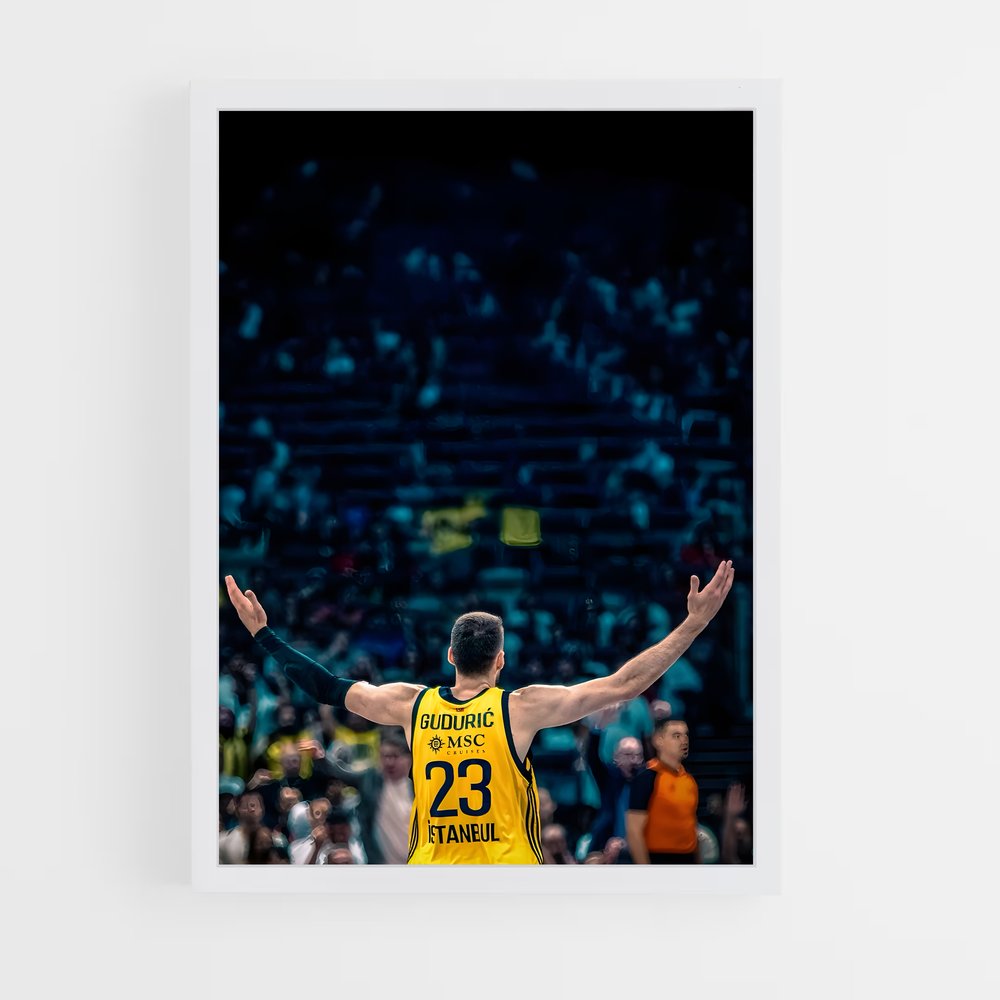 ap-fenerbahce basketball-5 cadre Blanc