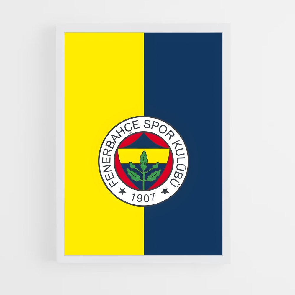 ap-fenerbahce sk-11 cadre Blanc