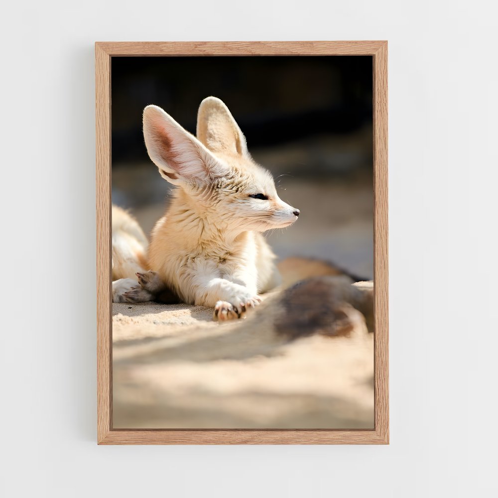 ap-fennec fox-2 cadre Bois clair