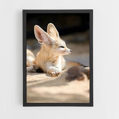 ap-fennec fox-2 cadre Noir