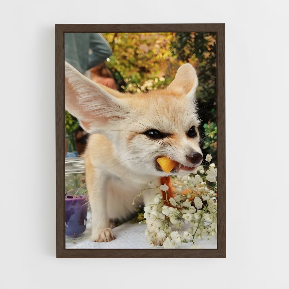 ap-fennec fox-3 cadre Bois foncé