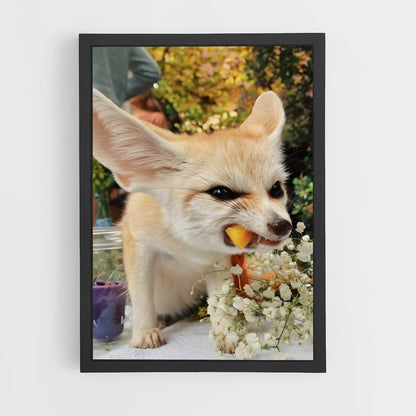 ap-fennec fox-3 cadre Noir