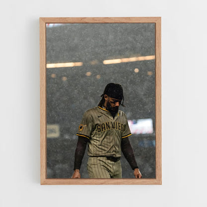 ap-fernando tatis jr-3 cadre Bois clair