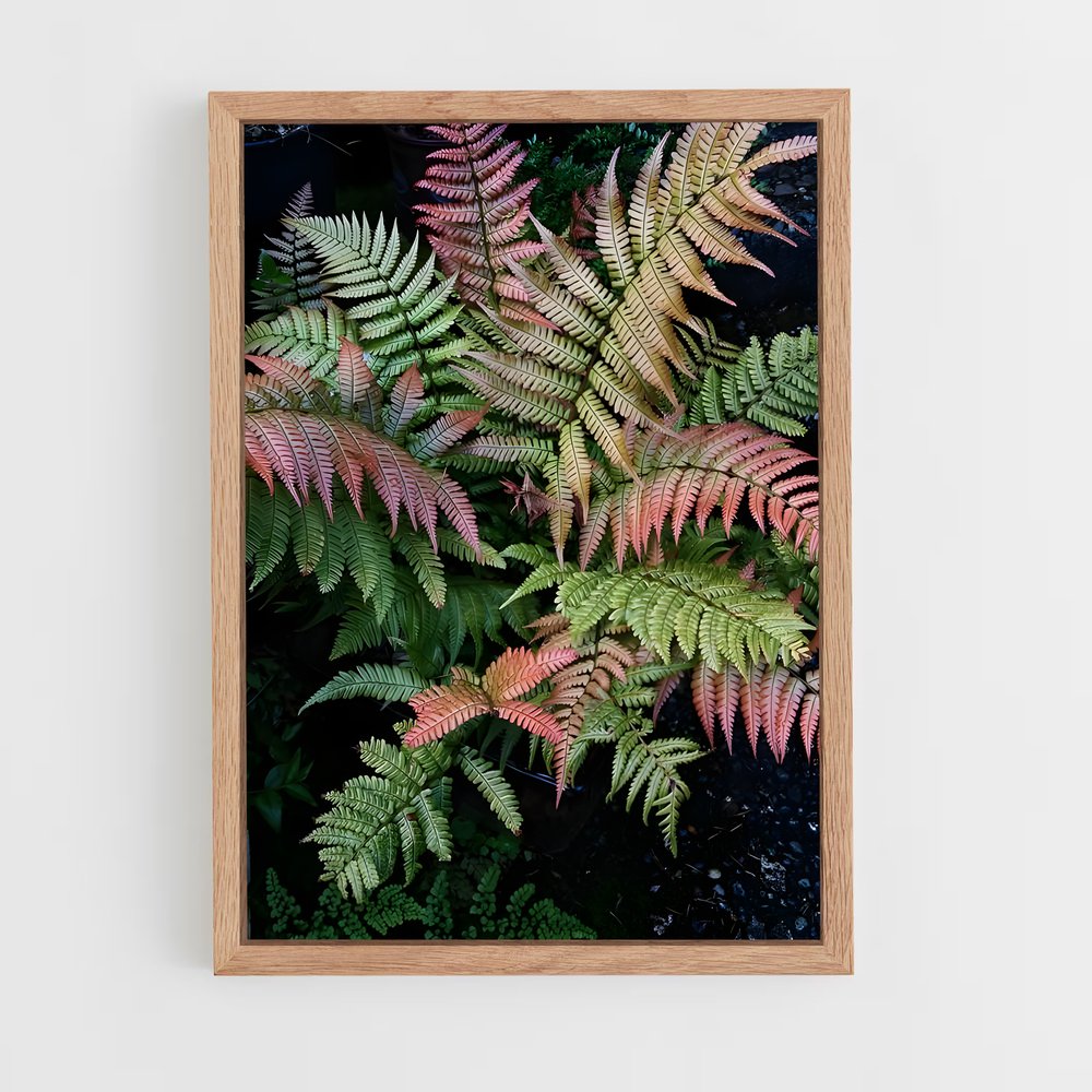 ap-ferns-3 cadre Bois clair