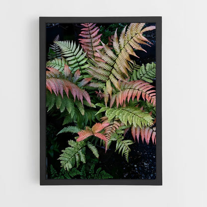ap-ferns-3 cadre Noir