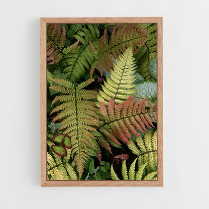 ap-ferns-8 cadre Bois clair
