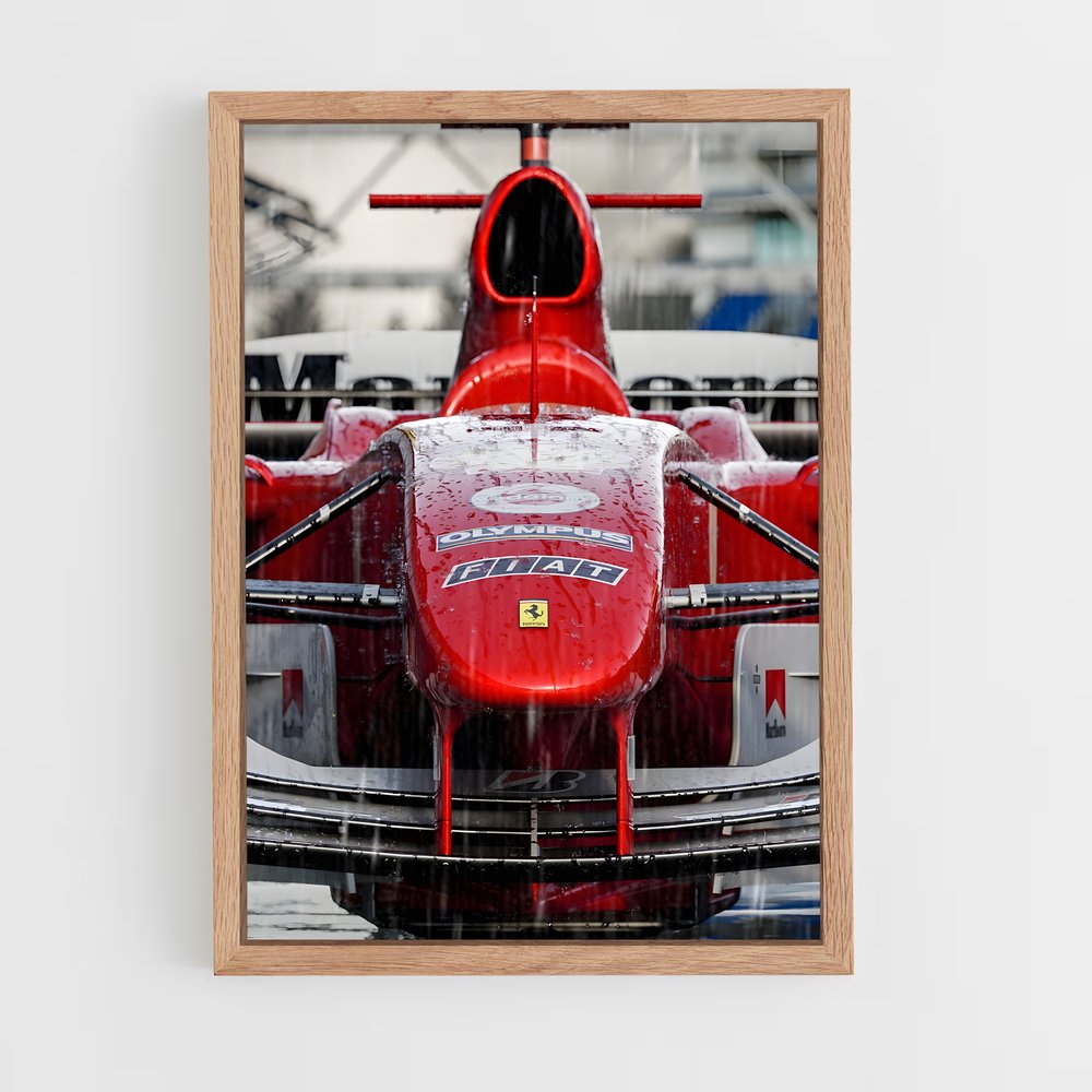 ap-ferrari f2004-7 cadre Bois clair