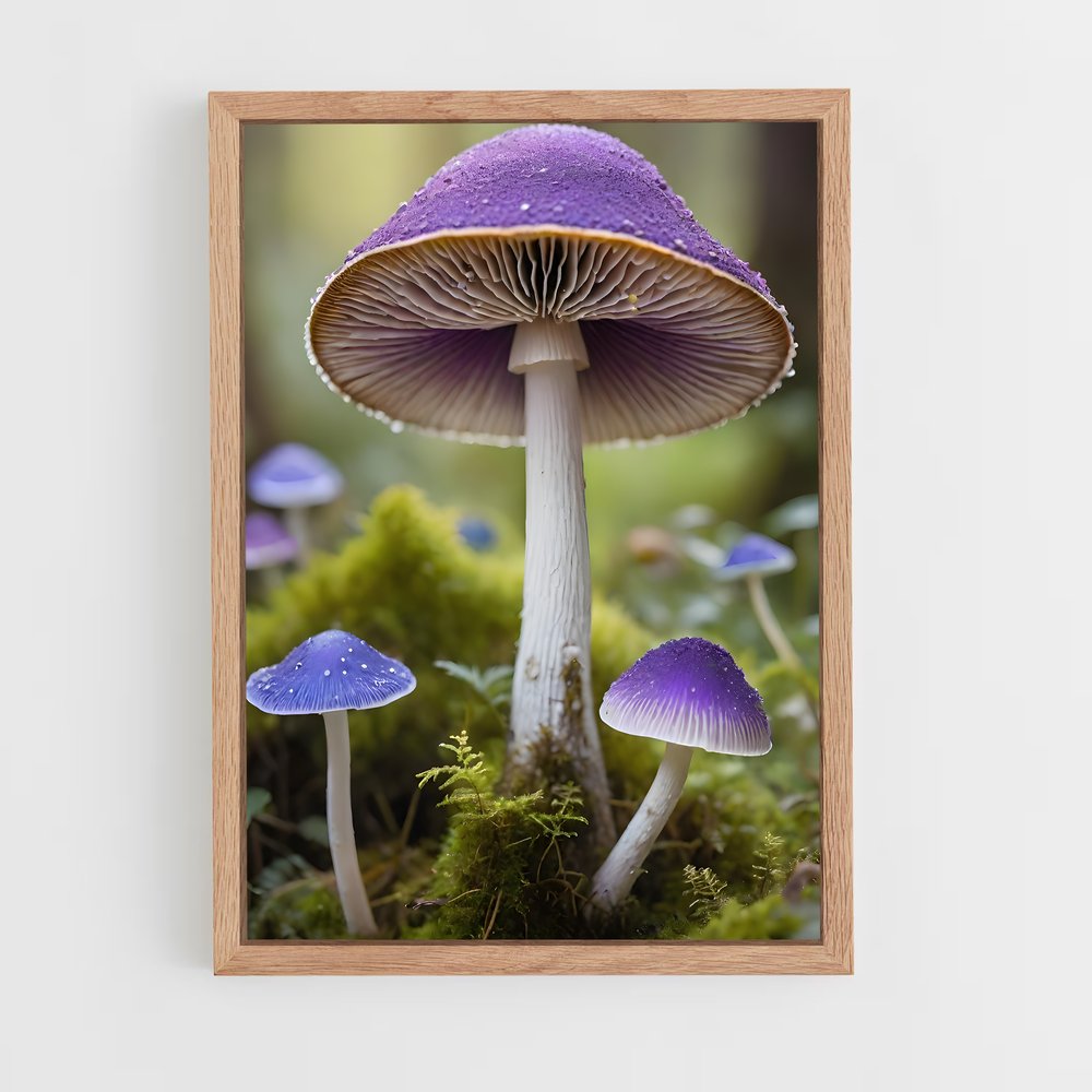 ap-field mushroom-1 cadre Bois clair