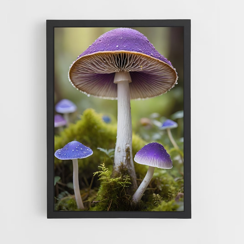 ap-field mushroom-1 cadre Noir