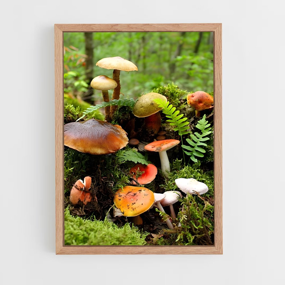 ap-field mushroom-2 cadre Bois clair