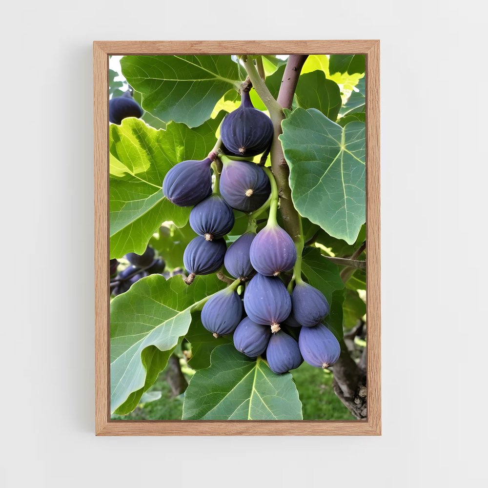 ap-fig-4 cadre Bois clair