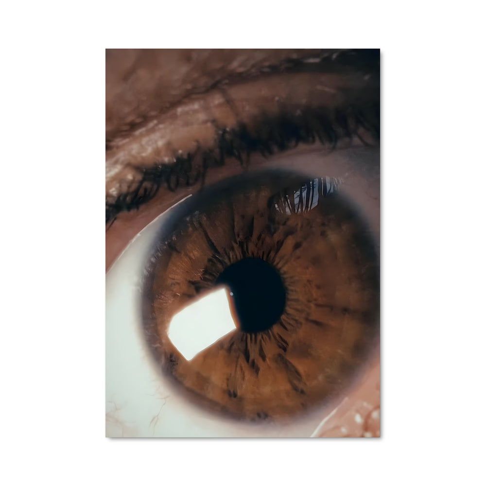 Poster L'Œil du Monde