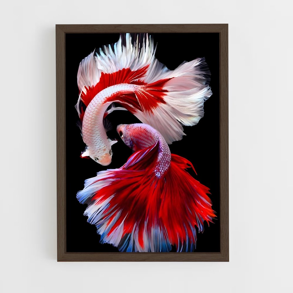 ap-fish-3 cadre Bois foncé