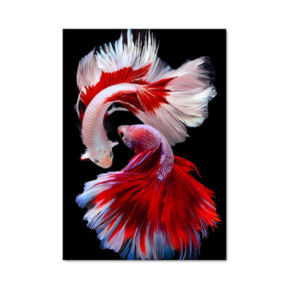 Poster Poisson Flamboyant