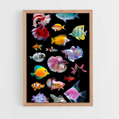 ap-fish-4 cadre Bois clair