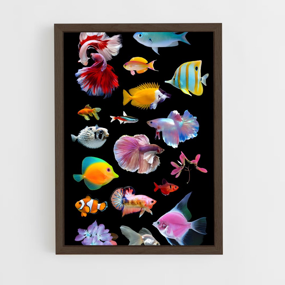 ap-fish-4 cadre Bois foncé