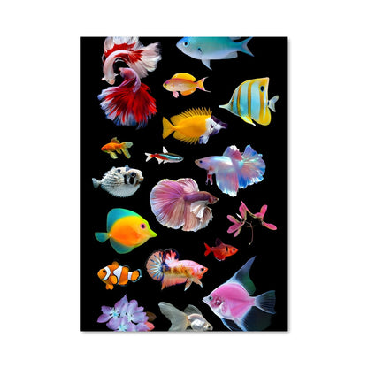 Poster Flottille Marine