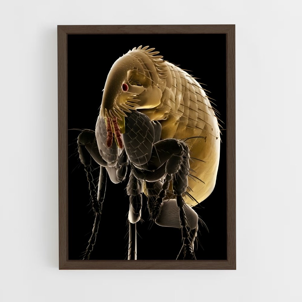 ap-flea-6 cadre Bois foncé