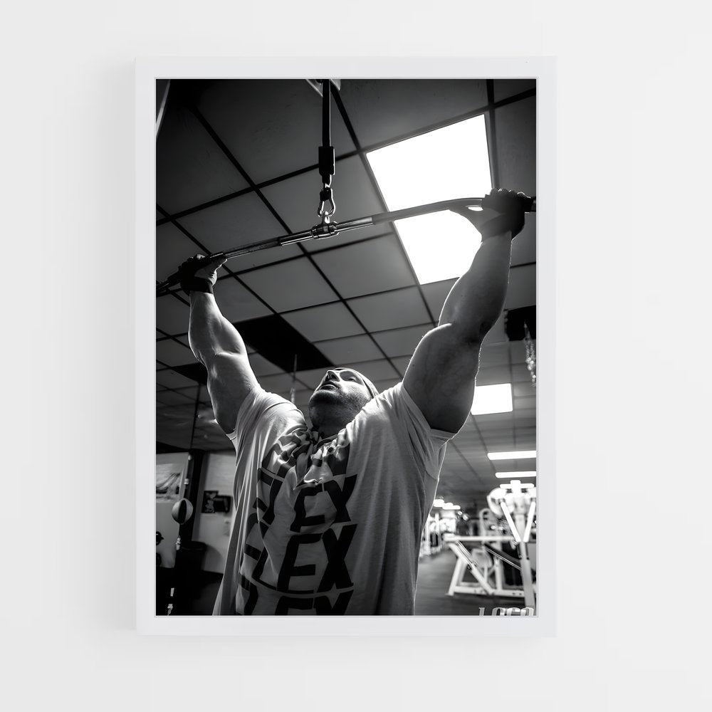 ap-flex lewis-2 cadre Blanc