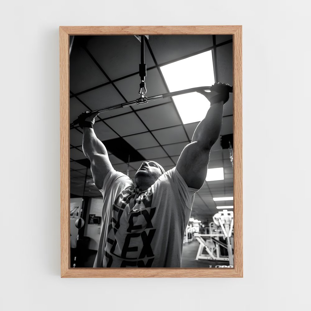 ap-flex lewis-2 cadre Bois clair