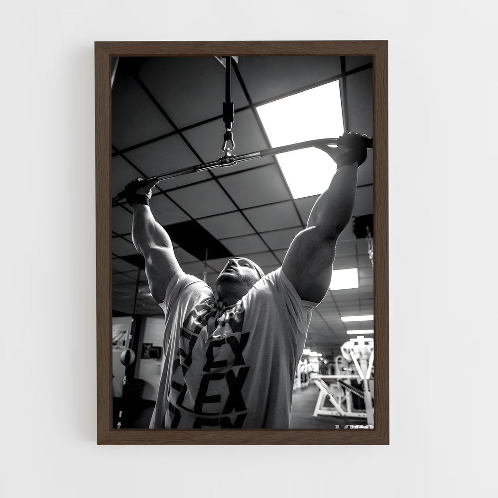 ap-flex lewis-2 cadre Bois foncé