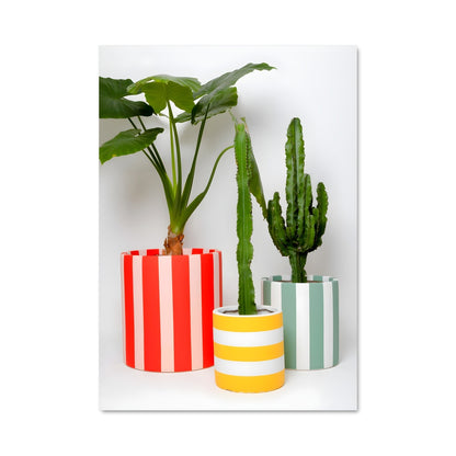 Poster Jardins Colorés