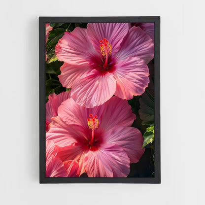 ap-flowers-9 cadre Noir