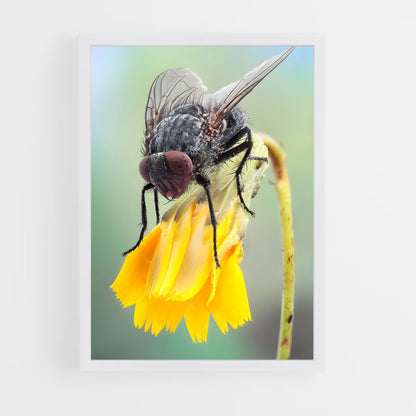 ap-fly-1 cadre Blanc