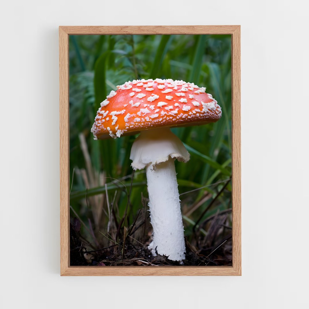 ap-fly agaric-7 cadre Bois clair