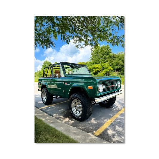 Poster Bronco Vert