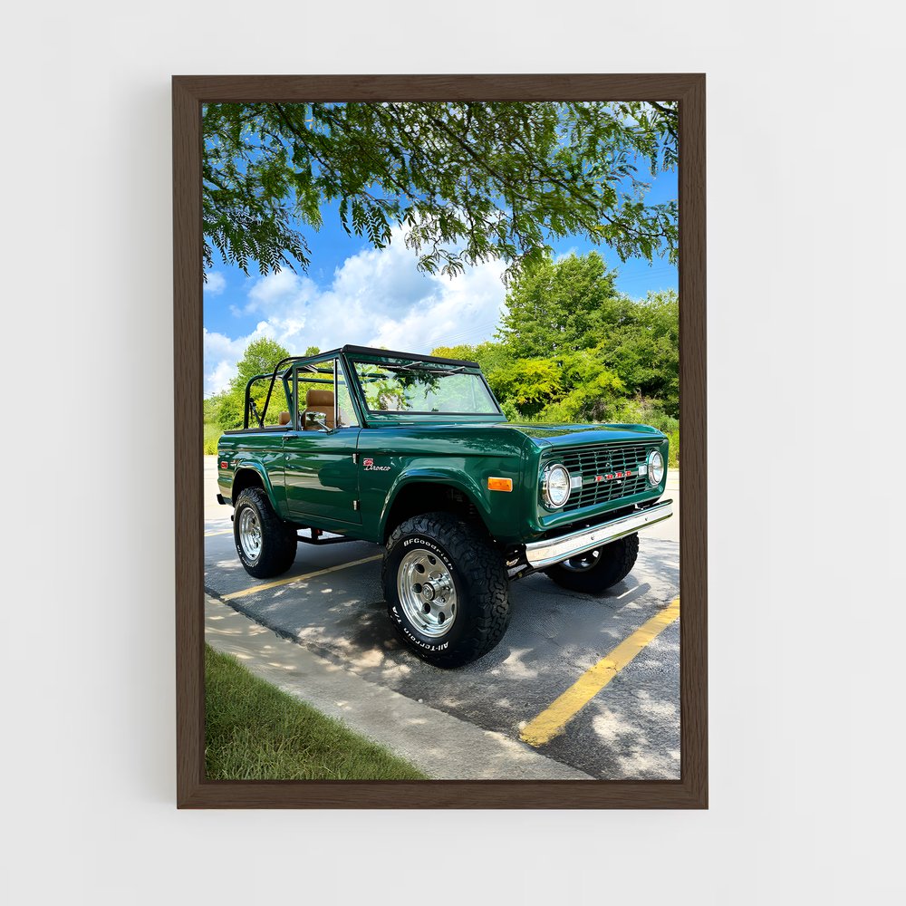 ap-ford bronco-2 cadre Bois foncé