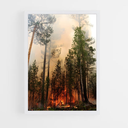 ap-forest fire-9 cadre Blanc