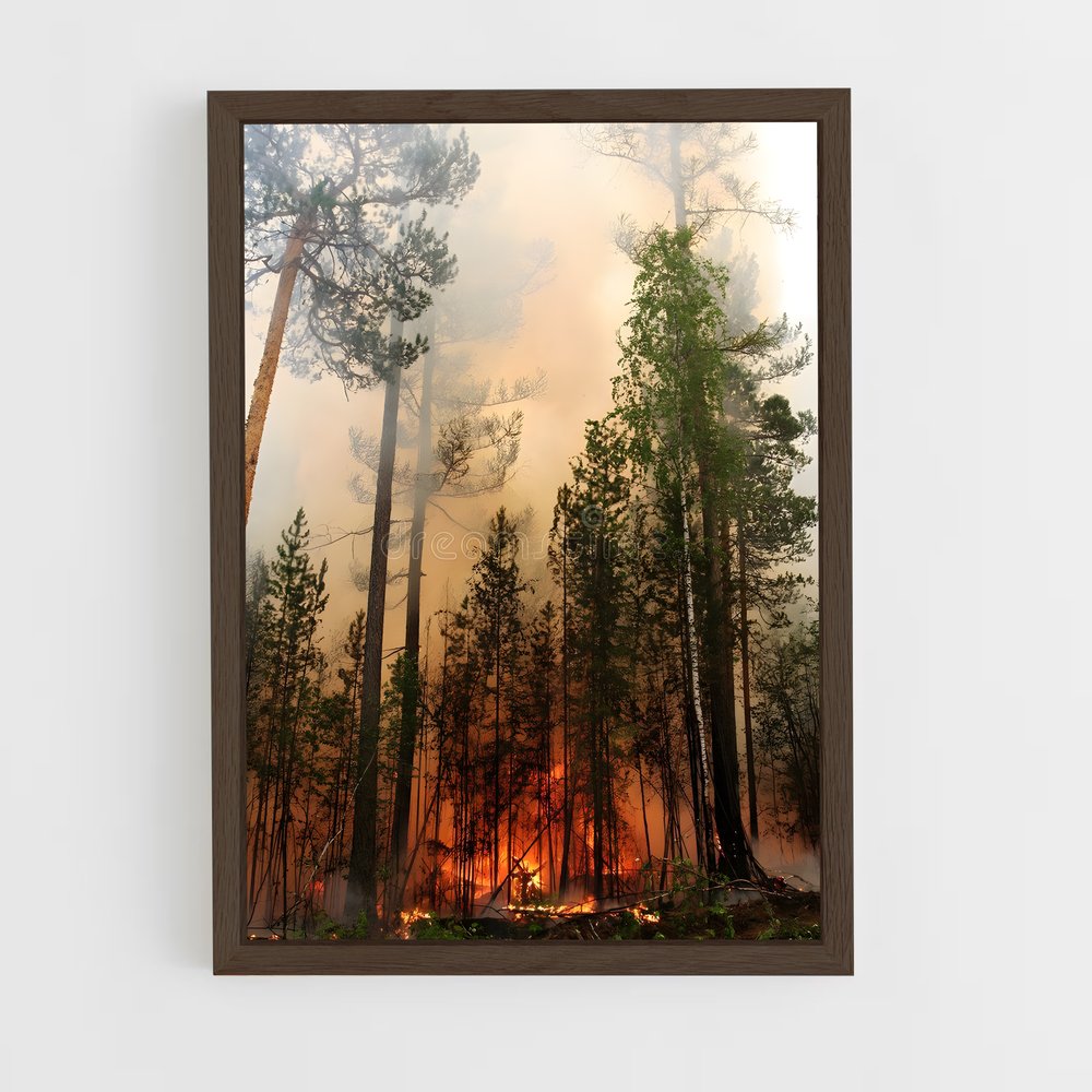 ap-forest fire-9 cadre Bois foncé