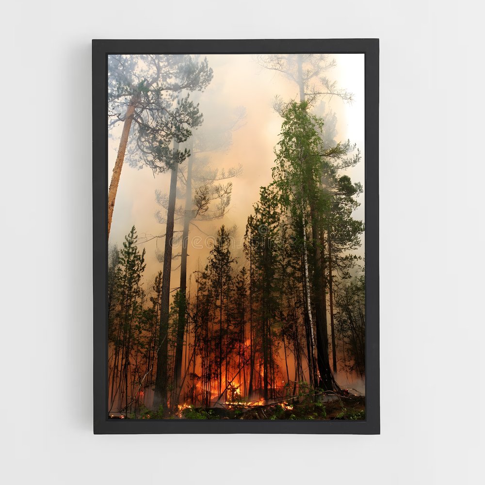ap-forest fire-9 cadre Noir