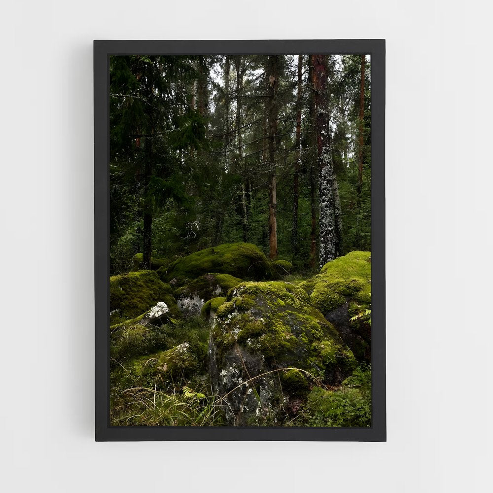 ap-forest moss-3 cadre Noir