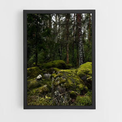 ap-forest moss-3 cadre Noir