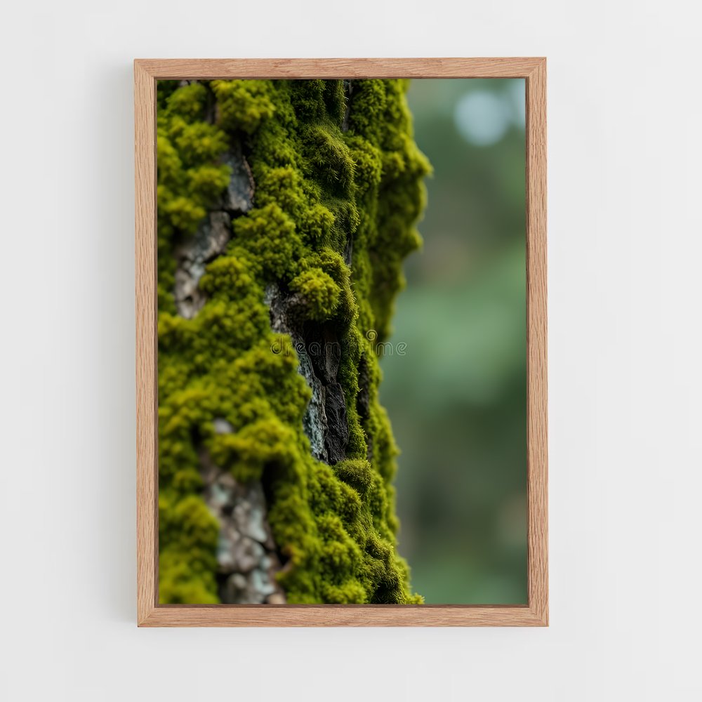 ap-forest moss-4 cadre Bois clair