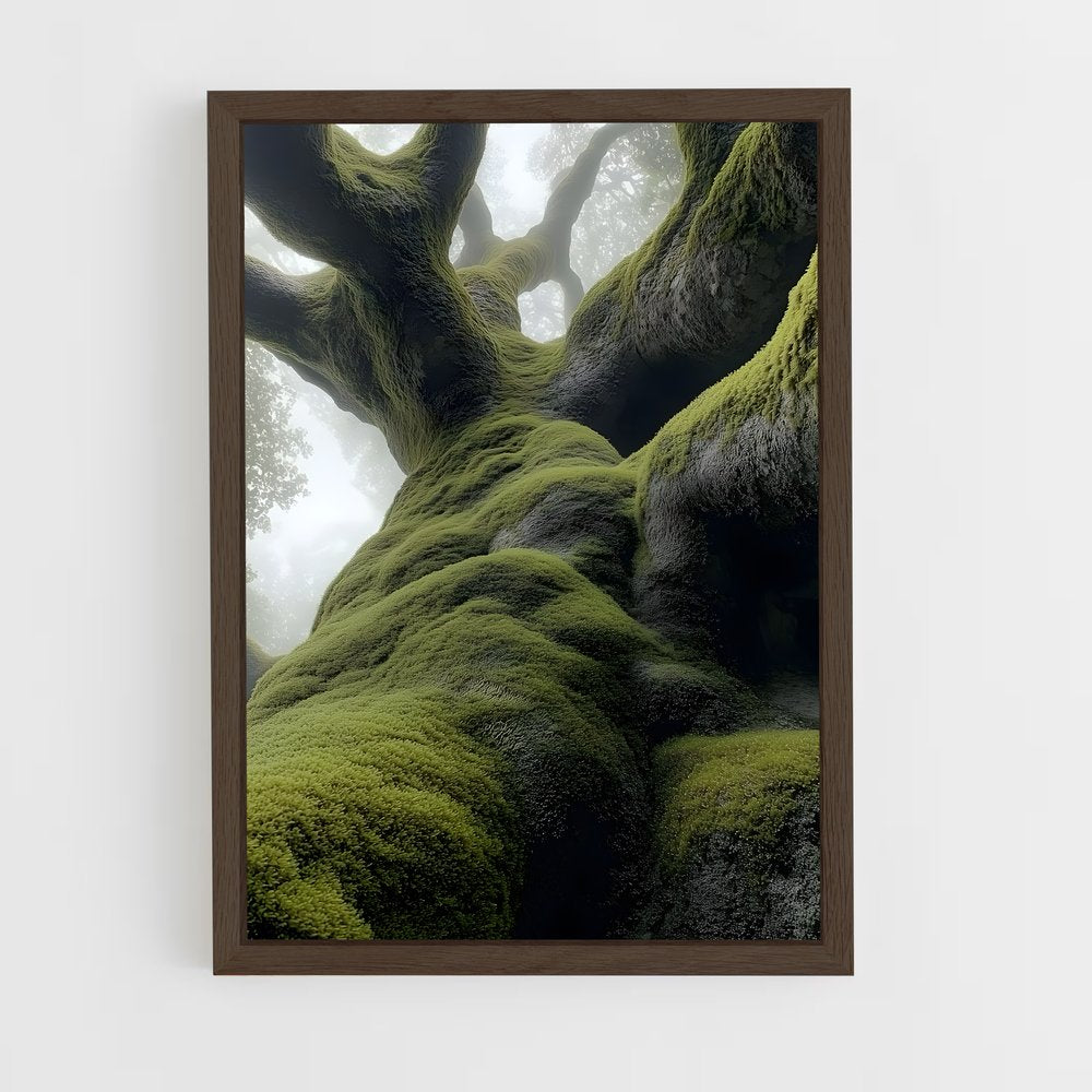 ap-forest moss-6 cadre Bois foncé